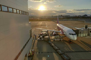 福岡空港のピーチ