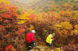 安達太良山の紅葉