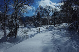 雪山ハイク