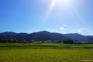 9月の田