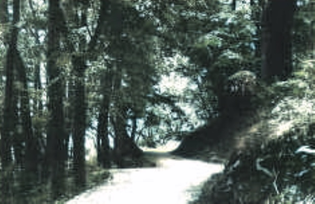 Durch hügelige Landschaft ging es von Kreuzburg hinab in den Stadtgrund. Ein Wäldchen, das vom Keygster durchflossen wurde, mit Ausflugslokal 