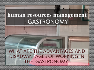 WHAT ARE THE ADVANTAGES AND DISADVANTAGES OF WORKING IN THE  GASTRONOMY 