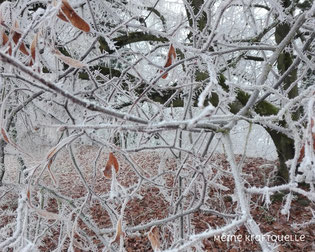 Kraftquelle im Januar, ruhiger Monat, Ruhe nach dem Sturm