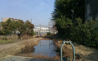 もうすぐ春が来ます