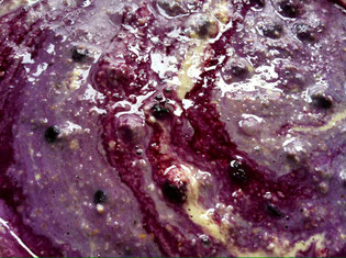 vegane glutenfreie Blaubeer-Pfannkuchen