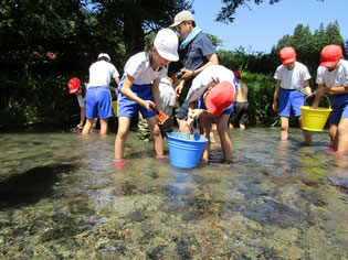 「砂鉄川」にて川砂鉄を採取する子どもたち