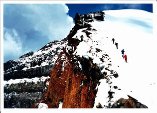 君は カゲロウ山登り を見たか 違うんだ 信じてくれ