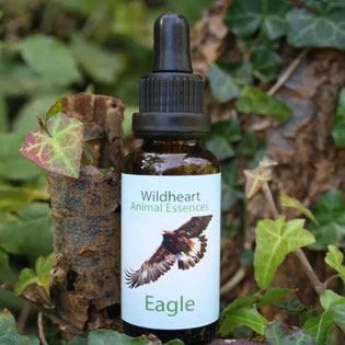 30ml - CHF 28.00