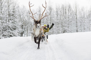 ©Juho Kuva