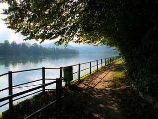 sonniger Uferweg in Buchberg am Rhein