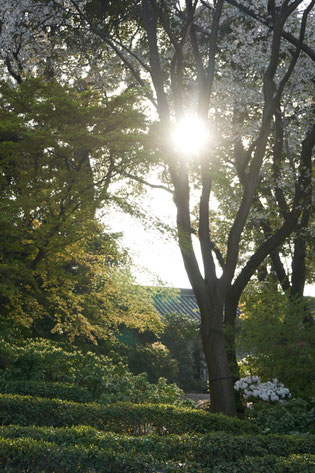 Foto von Birgit Kollmeyer