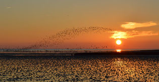 Sonnenuntergang