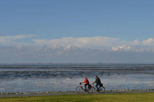 Fahrrad fahren am Aussendeich