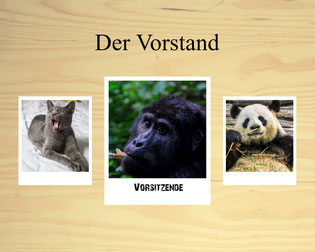 Collage aus drei Bildern auf einer Art Holztafel. Darüber steht: der Vorstand. Von links nach rechts: Foto einer grauen Katze, Spring, Foto einer Gorilladame, Maxi, Foto eines Pandabären, Pat.