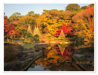 肥後細川庭園