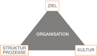 Drei Parameter wirken abhängig voneinander auf die Organisation ein.