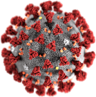 <img src=“Bilddatei.png“ alt=Bild vom Corona Virus>
