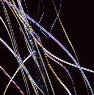 Fibre de soie au microcope polarisé