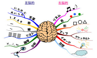 マインドマップ 「右脳と左脳」