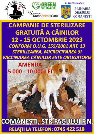 Sterilisatie poster - oktober 2023: Inwoners worden verplicht hun dieren te steriliseren, chippen en vaccineren. Riskeren een boete van circa 1000-2000 euro bij niet opvolgen van de regel