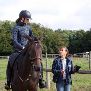 saddle fitting analyse du cheval en mouvement