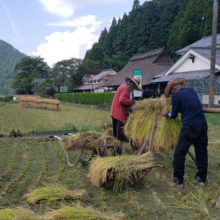 収穫の秋