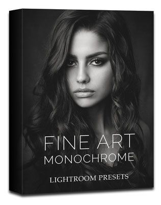 10 award winning Fine Art Monochrome presets for Lightroom