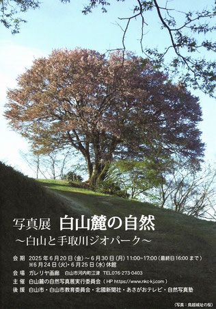 写真展「白山麓の自然」～白山と手取側ジオパーク～ 開催のお知らせ