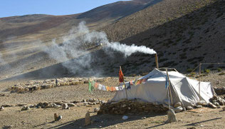 Phantastisches Trekking durch Ladakh