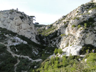 Le vallon du Coucourdier