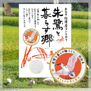 農薬不使用｜朱鷺と暮らす郷