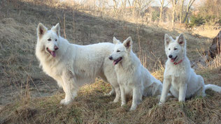 Pia-Mae  rechts im Bild.