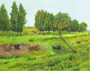 Cows in The Meadow Land