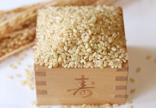 お米が入った枡。お米マイスターが厳選するお米を岐阜県土岐市で販売してます。各務米穀店。