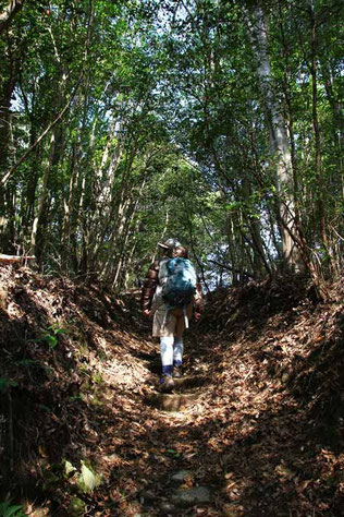 残念ながらこの山は空振り三振だった。