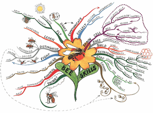 写真 「クレヨンでカラフルにかくCREATIVITY」