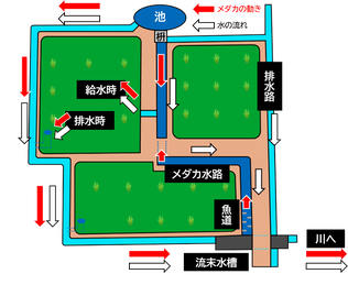農事組合法人　門崎ファーム　メダカが循環できるよう整備