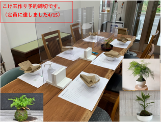 こけ玉作り