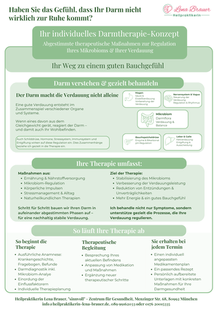 Darmtherapie-Konzept zur Verbesserung der Verdauung – Zusammenspiel von Darm, Magen, Leber und Nervensystem