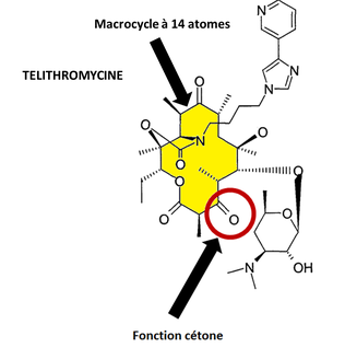 telithromycine macrocycle cétone internat pharmacie