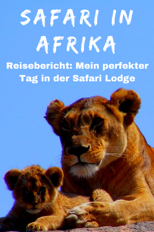 Afrika Safari Reisebericht 