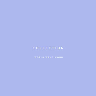 WORLD WAND WOOD 　バンド　姉妹　ガールズバンド　大阪のバンド　インディーズ　