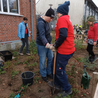 Fledermausbeet anlegen, Foto: Eike Hilbert