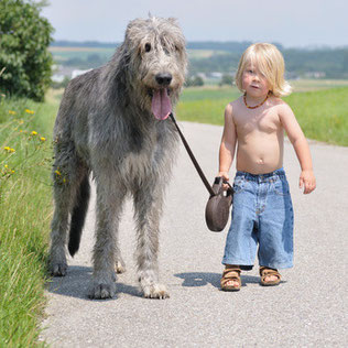 Tierliebe für groß und klein mit Pet-Fit