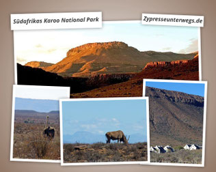 Südafrikas Karoo National Park