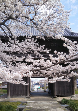 北九州市八幡東区祇園原町　龍潜寺　2021/3/26撮影