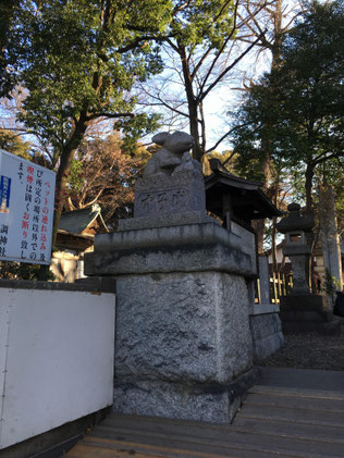 調神社の正面のうさぎさん