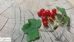 Rote Johannisbeeren haben zahlreiche gesunde Inhaltsstoffe. Mehr dazu sowie ein köstliches Ribiselkuchen Rezept auf www.daninas-kunst-werkstatt.at