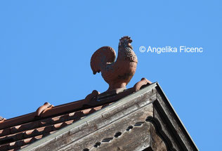 Giebelzierer © Mag. Angelika Ficenc 