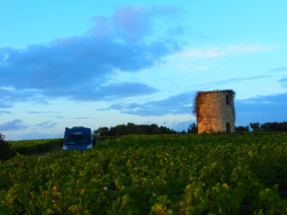 historischer Wachturm auf dem Weingut "Chateau de Loulin Rouge"